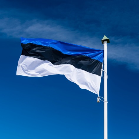 Estonian Monument