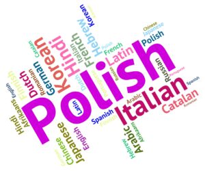 Polish Technical Language Translation Company in India