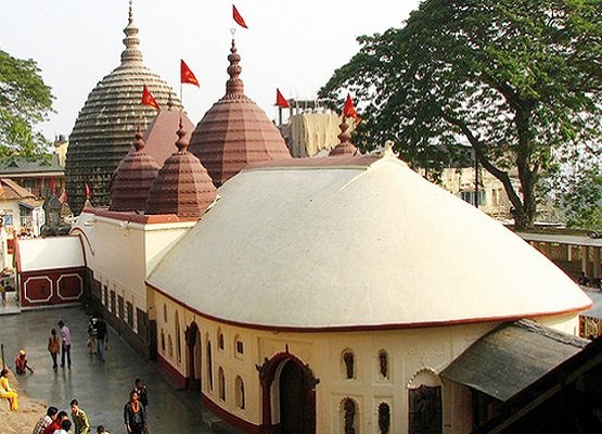 assamese translation services in india