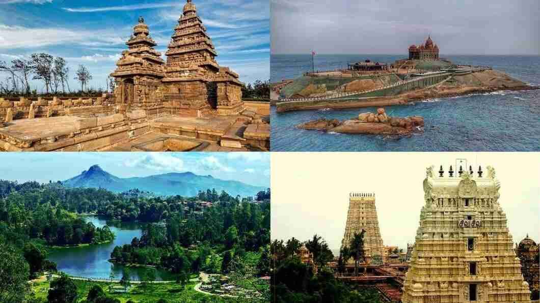 Tamil Translation Services